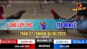 Trận 27 TonHon 10/10/2025 - Chú Lũy Campuchia Và Anh Tèo Đen Lê