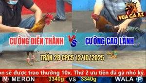 Trận 28 CPC5 12/10/2025 - Anh Cường Diễn Thành Và Anh Cường Cao Lãnh