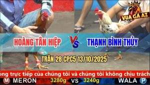 Trận 28 CPC5 13/10/2025 - Anh Hoàng Tân Hiệp Và Anh Thạnh Bình Thủy