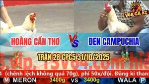 Trận 28 CPC5 31/10/2025 - Anh Hoàng Cần Thơ Và Anh Đen Campuchia