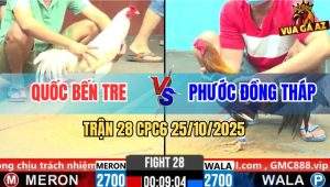 Trận 28 CPC6 25/10/2025 - Gà Úa Áp Sát Đá Điều Không Sót Chân Nào