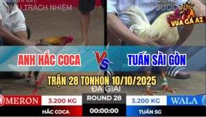 Trận 28 TonHon 10/10/2025 - Anh Hắc Coca Gặp Anh Tuấn Sài Gòn