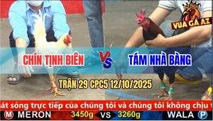 Trận 29 CPC5 12/10/2025 - Anh Chín Tịnh Biên Và Anh Tám Nhà Bàng