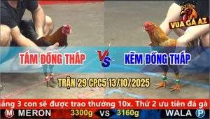 Trận 29 CPC5 13/10/2025 - Anh Tám Đồng Tháp Và Anh Kẽm Đồng Tháp