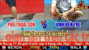 Trận 29 CPC5 24/10/2025 - Anh Phú Thoại Sơn Và Anh Vinh Bến Tre