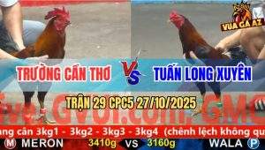 Trận 29 CPC5 27/10/2025 - Anh Trường Cần Thơ Và Anh Tuấn Long Xuyên