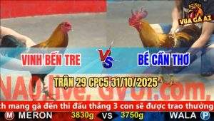 Trận 29 CPC5 31/10/2025 - Anh Vinh Bến Tre Và Anh Bé Cần Thơ