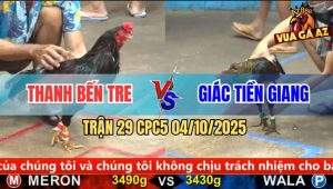Trận 29 CPC5 4/10/2025 - Anh Thanh Bến Tre Và Anh Giác Tiền Giang
