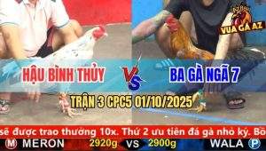 Trận 3 CPC5 1/10/2025 - Anh Hậu Bình Thủy Và Anh Ba Gà Ngã 7