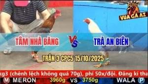 Trận 3 CPC5 15/10/2025 - Anh Tâm Nhà Bàng Và Anh Trà An Biên