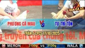 Trận 3 CPC5 17/10/2025 - Anh Phương Cà Mau Và Anh Tư Trí Tôn