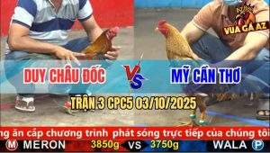 Trận 3 CPC5 3/10/2025 - Anh Duy Châu Đốc Và Anh Mỹ Cần Thơ