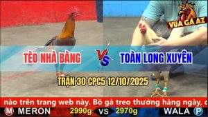 Trận 30 CPC5 12/10/2025 - Anh Tèo Nhà Bàng Và Anh Toàn Long Xuyên