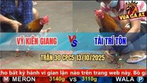 Trận 30 CPC5 13/10/2025 - Anh Vỹ Kiên Giang Và Anh Tài Trí Tôn