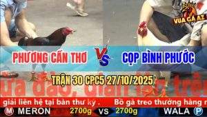Trận 30 CPC5 27/10/2025 - Anh Phương Cần Thơ Và Anh Cọp Bình Phước
