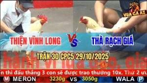 Trận 30 CPC5 29/10/2025 - Anh Thiện Vĩnh Long Và Anh Thà Rạch Giá