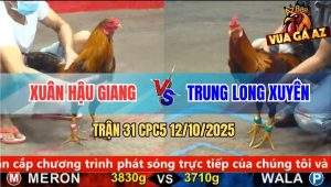 Trận 31 CPC5 12/10/2025 - Anh Xuân Hậu Giang Và Anh Trung Long Xuyên