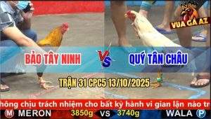 Trận 31 CPC5 13/10/2025 - Anh Bảo Tây Ninh Và Anh Quý Tân Châu