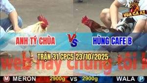 Trận 31 CPC5 23/10/2025 - Anh Tý Chùa Gặp Anh Hùng Cafe