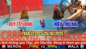 Trận 31 CPC5 26/10/2025 - Anh Duy Tây Ninh Và Anh Hiếu Thứ Hai