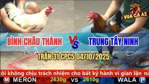Trận 31 CPC5 4/10/2025 - Anh Bình Châu Thành Và Anh Trung Tây Ninh