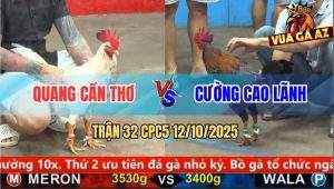 Trận 32 CPC5 12/10/2025 - Anh Quang Cần Thơ Và Anh Cường Cao Lãnh