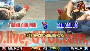 Trận 32 CPC5 16/10/2025 - Anh Thành Chợ Mới Và Anh Đen Cầu Đỏ