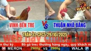 Trận 32 CPC5 29/10/2025 - Anh Vinh Bến Tre Và Anh Thuận Nhà Bàng