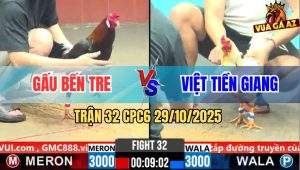 Trận 32 CPC6 29/10/2025 - Gà Điều Anh Gấu Vô Kính Hụt Hơi Bỏ Miệng Đi