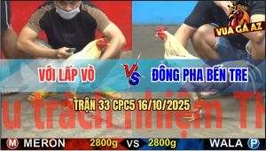 Trận 33 CPC5 16/10/2025 - Anh Với Lấp Vò Và Đông Pha Bến Tre