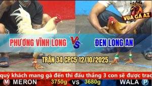 Trận 34 CPC5 12/10/2025 - Anh Phương Vĩnh Long Và Anh Đen Long An