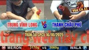 Trận 34 CPC5 16/10/2025 - Anh Trung Vĩnh Long Và Anh Thanh Châu Phú