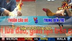 Trận 34 CPC5 17/10/2025 - Anh Thuận Cầu Đỏ Và Anh Trung Bến Tre