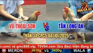 Trận 34 CPC5 4/10/2025 - Anh Vũ Thoại Sơn Và Anh Tân Long An