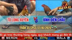 Trận 35 CPC5 12/10/2025 - Anh Tú Long Xuyên Và Anh Bình Diễn Châu