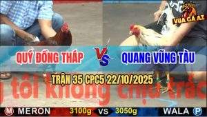 Trận 35 CPC5 22/10/2025 - Anh Quý Đồng Tháp Và Anh Quang Vũng Tàu