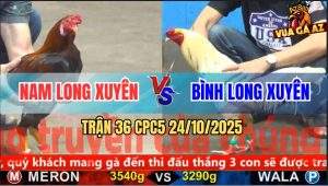 Trận 36 CPC5 24/10/2025 - Anh Nam Long Xuyên Và Anh Bình Long Xuyên