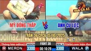 Trận 34 CPC6 15/10/2025 - Điều Cọp Anh Trung Đá Bát 1, Bướm Nằm Đống