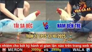 Trận 37 CPC5 13/10/2025 - Anh Tài Sa Đéc Và Anh Nam Bên Tre