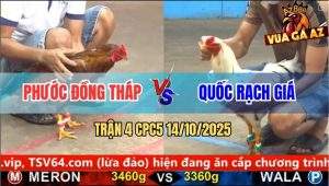Trận 4 CPC5 14/10/2025 - Anh Phước Đồng Tháp Và Anh Quốc Rạch Giá