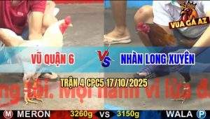 Trận 4 CPC5 17/10/2025 - Anh Vũ Quận 6 Và Anh Nhàn Long Xuyên