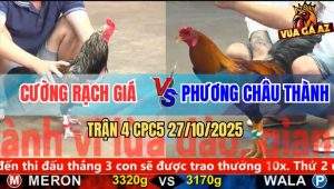 Trận 4 CPC5 27/10/2025 - Anh Cường Rạch Giá Và Anh Phương Châu Thành