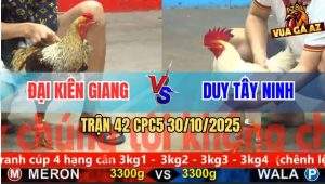 Trận 42 CPC5 30/10/2025 - Anh Đại Kiên Giang Và Anh Duy Tây Ninh