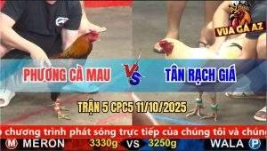 Trận 5 CPC5 11/10/2025 - Anh Phương Cà Mau Và Anh Tân Rạch Giá