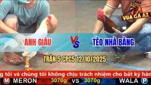 Trận 5 CPC5 12/10/2025 - Anh Giàu Và Anh Tèo Nhà Bàng