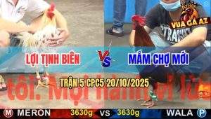 Trận 5 CPC5 20/10/2025 - Anh Lợi Tịnh Biên Và Anh Mắm Chợ Mới