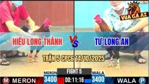 Trận 5 CPC6 14/10/2025 - Anh Tùng Mìn Sửa Gà Lụm Xổ 100 Quá Đẳng Cấp