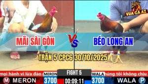 Trận 5 CPC6 30/10/2025 - Điều Mật Có Chân Xạo Lờ Đâm Đỏ Bể Bóng Đèn
