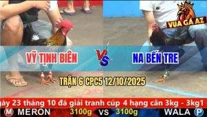 Trận 6 CPC5 12/10/2025 - Anh Vỹ Tịnh Biên Và Anh Na Bến Tre