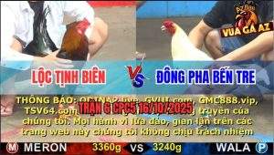 Trận 6 CPC5 16/10/2025 - Anh Lộc Tịnh Biên Và Anh Đông Pha Bến Tre